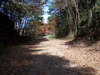 400 State Trail covered with fall leaves
